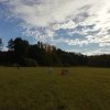 Borůvka - Podzimní větrání
