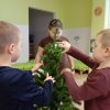 Borůvka - Strojíme vánoční stromeček