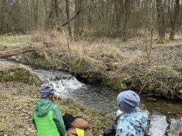 img_2611