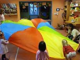 Vítr otrhal stromy do hola