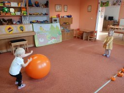 Vítr otrhal stromy do hola