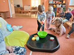 Vítr otrhal stromy do hola