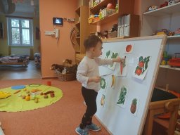 Jak nás našel bacil Cecil