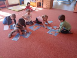 Domácí zvířátka a mláďátka