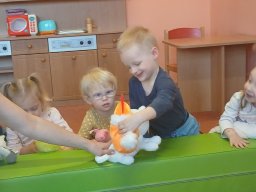 Domácí zvířátka a mláďátka