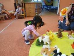 Domácí zvířátka a mláďátka