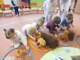 Mrazíci a zvířátka