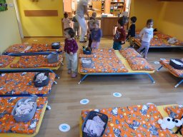 Mrazíci a zvířátka